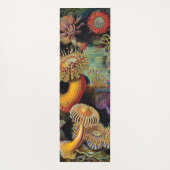 de kunst van de Natuur door Ernst Haeckel Yogamat (Achterkant)