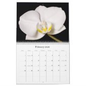 De kunst van de Natuur Kalender (Feb 2026)