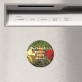 De kunst van de "positieve geest" rond Magnet Magneet (Insitu (Vaatwasser))