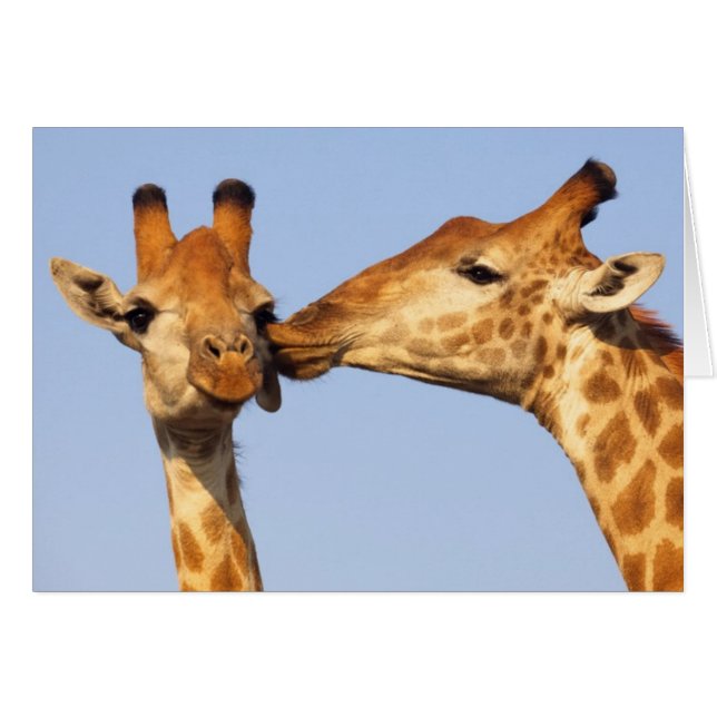 De kus (Voorkant Horizontaal)