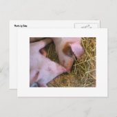 De kus briefkaart (Voorkant / Achterkant)