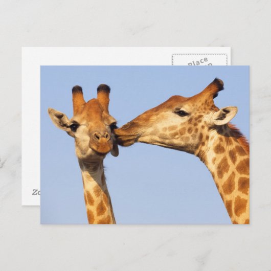 De kus briefkaart (Voorkant / Achterkant)