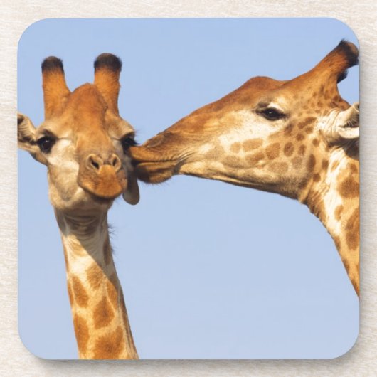 De kus drankjes onderzetter (Voorkant)