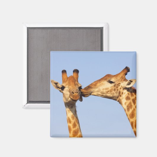 De kus magneet (Voorkant / Achterkant)