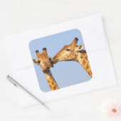 De kus vierkante sticker (Envelop)