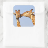 De kus vierkante sticker (Tas)