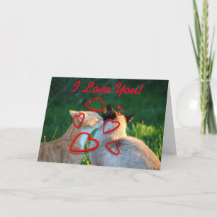 De kusliefde van de kat kaart