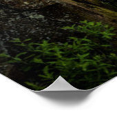 De kust van het meer van Superior | Minnesota Poster (Hoek)