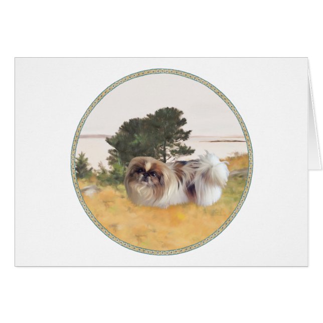 De kust verkennen (Voorkant Horizontaal)