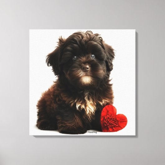 De Kutste Valentijn, Chocolate Havanese Puppy Canvas Afdruk (Voorkant)