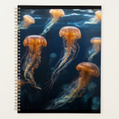 De kwal planner (Voorkant)