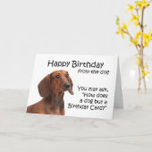 De la carte d'anniversaire du teckel (Fleur jaune)