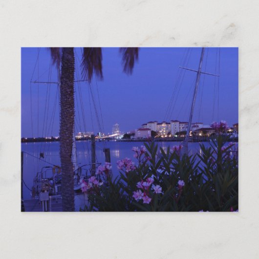 De la carte postale Cove (Devant)