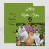 De la part du chat Bonne fête des mères Carte (Devant / Derrière)