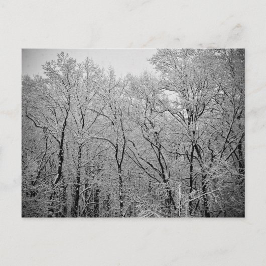 De laatste adem van de winter briefkaart (Voorkant)