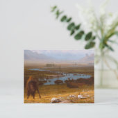 De laatste buffel briefkaart (Staand voorkant)
