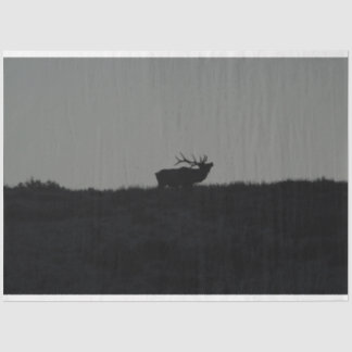 De laatste bugel tissuepapier