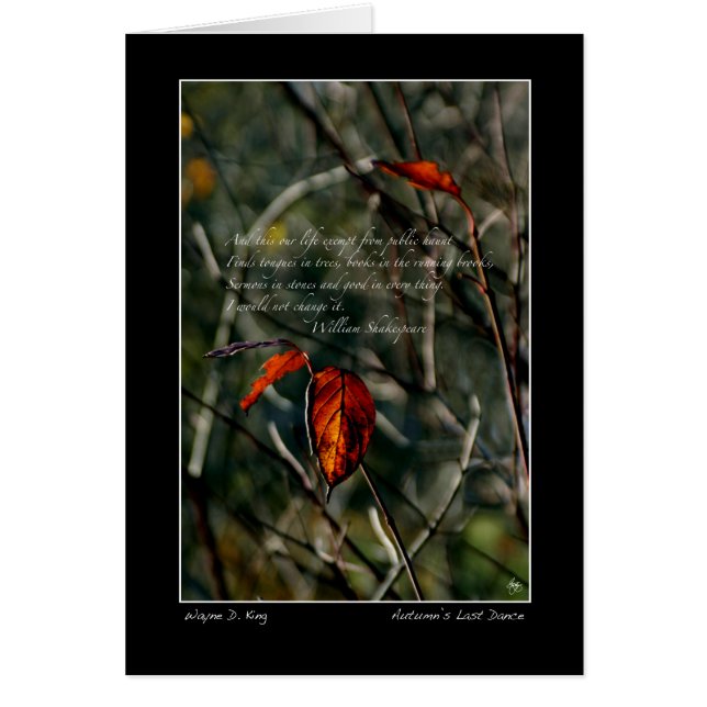 De laatste dans van de herfst met Shakespeare (Voorkant)