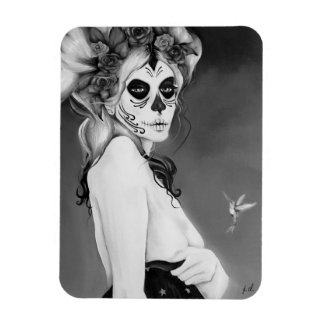 de laatste grote magneet met vignet