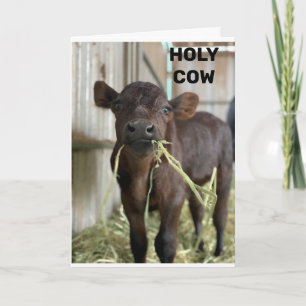 DE LAATSTE MOOS IS DAT U ***50*** KAART