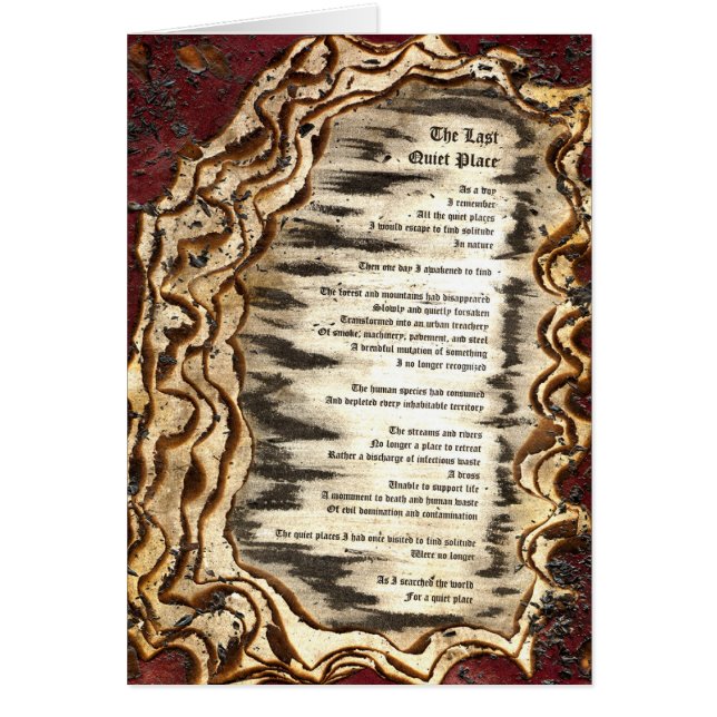 De laatste stille plaats (Voorkant)