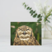 De lach van de uil! :) briefkaart (Staand voorkant)