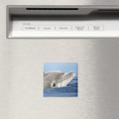 De lachende dolfijn magneet (Insitu (Vaatwasser))