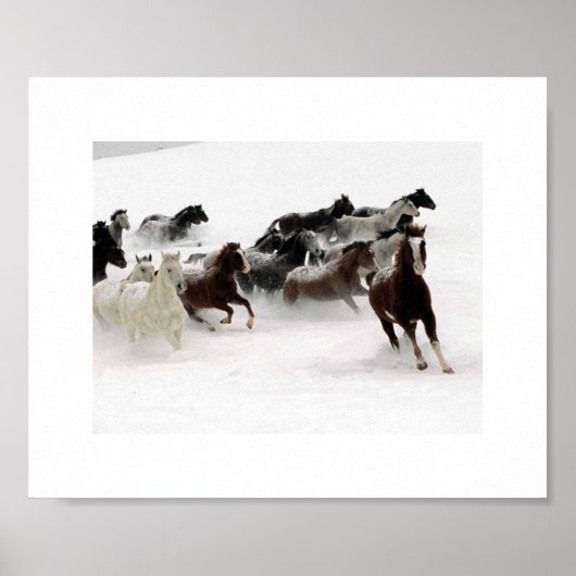 De lading van de paarden. poster (Voorkant)