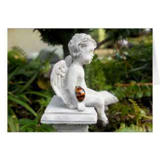 De Ladybug en de Cherub