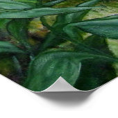 De Lanai Poster (Hoek)