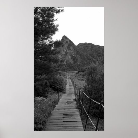 De lange reis poster (Voorkant)