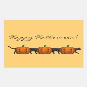 De langste kat ter wereld rechthoekige sticker