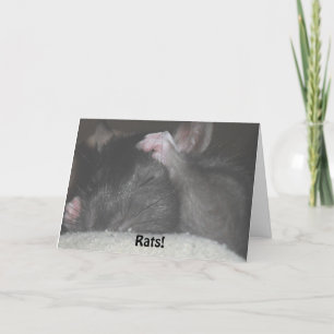 De late Kaart van de Verjaardag