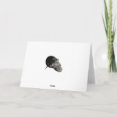 De late Kaart van de Verjaardag (Achterkant)