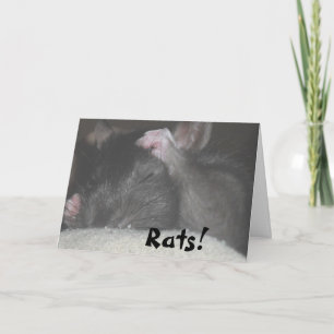 De late Kaart van de Verjaardag