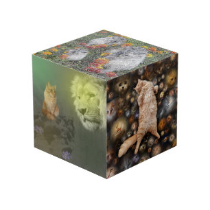 De Leeuw En De Kat, Plus Vrienden, Foto Kubus