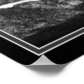 De leeuwen verliezen geen slaap over de mening van poster (Hoek)