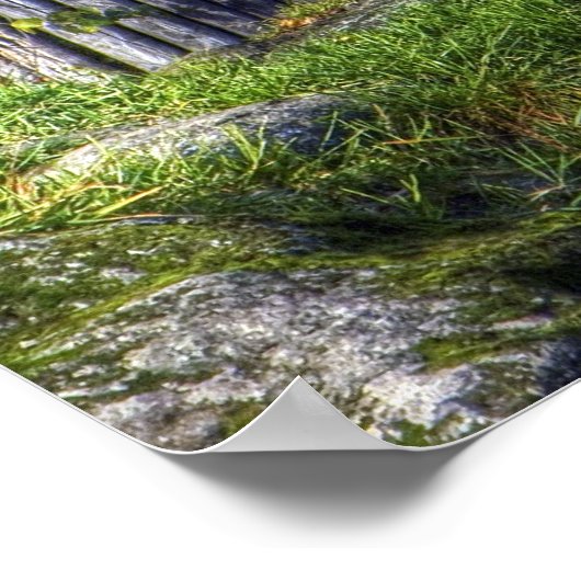 De leeuwenkoning poster (Hoek)