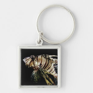 De Leeuwvis Sleutelhanger