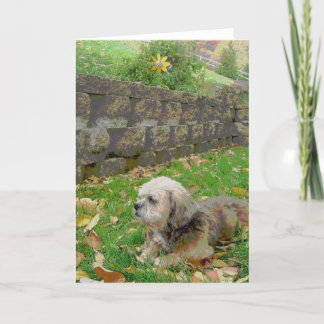 De lege kaart met bevordert