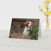 De Lege Kaart van Bretagne (Gele Bloem)