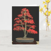 De Lege Kaart van de bonsai (Gele Bloem)