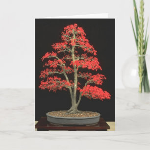 De Lege Kaart van de bonsai