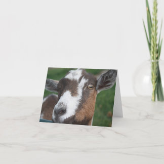 De Lege kaart van de geit