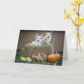De lege kaart van de Herfst van Corgi (Gele Bloem)