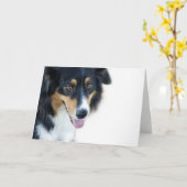 De Lege Kaart van de Hond van Aussie (Gele Bloem)