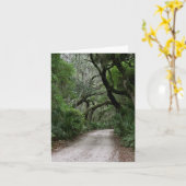 De lege Kaart van de Nota (Gele Bloem)