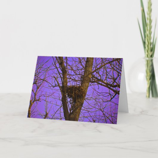 De lege Kaart van de Nota van het Nest (Voorkant)