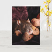 De lege Kaart van de Rat (Gele Bloem)