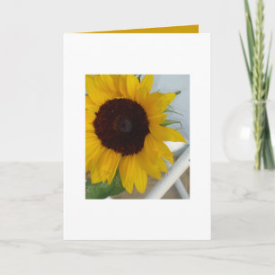 De Lege Kaart van de zonnebloem